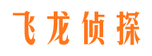 宝塔市私人侦探